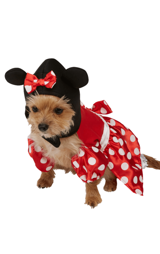 All Costumes Fancydogs.co.uk See our full range of dog fancy dress